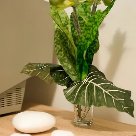 Gabrijela Apartment